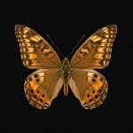 Bugaboo Butterfly
